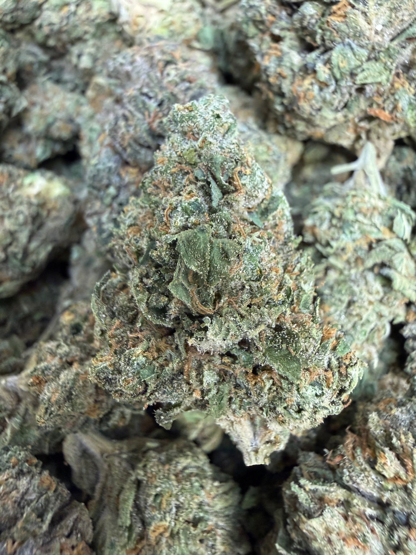 1 Pound - White Runtz THCA Flower