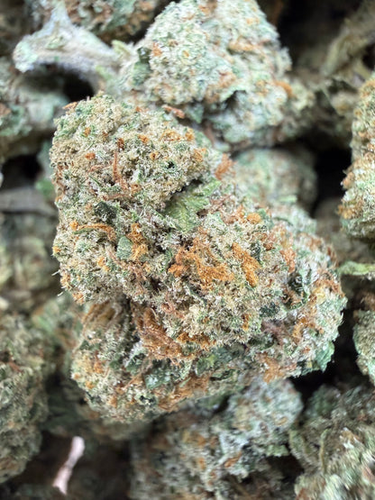 1 Pound - ILLEMONATI OG THCA Flower (BIG)