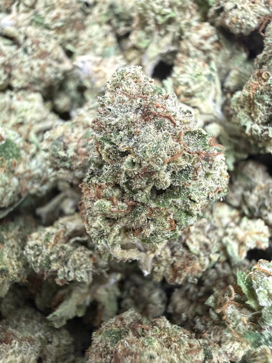 1 Pound - HEAVY METAL OG THCA Flower (SMALL)