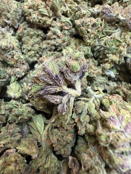 1 Pound - Blue Lobster THCA Flower (Smalls)