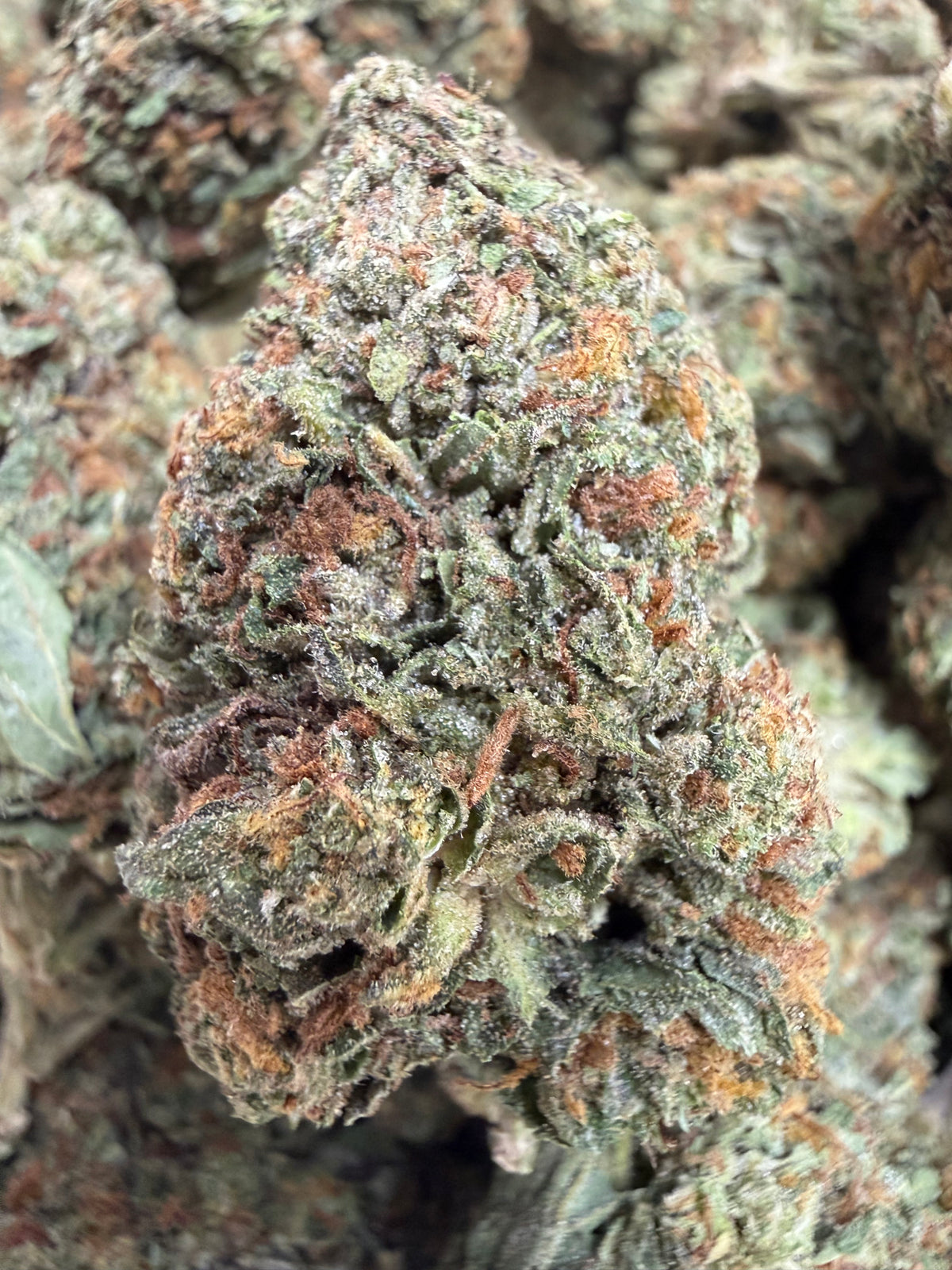 1 Pound - PINK STARFRUIT THCA Flower