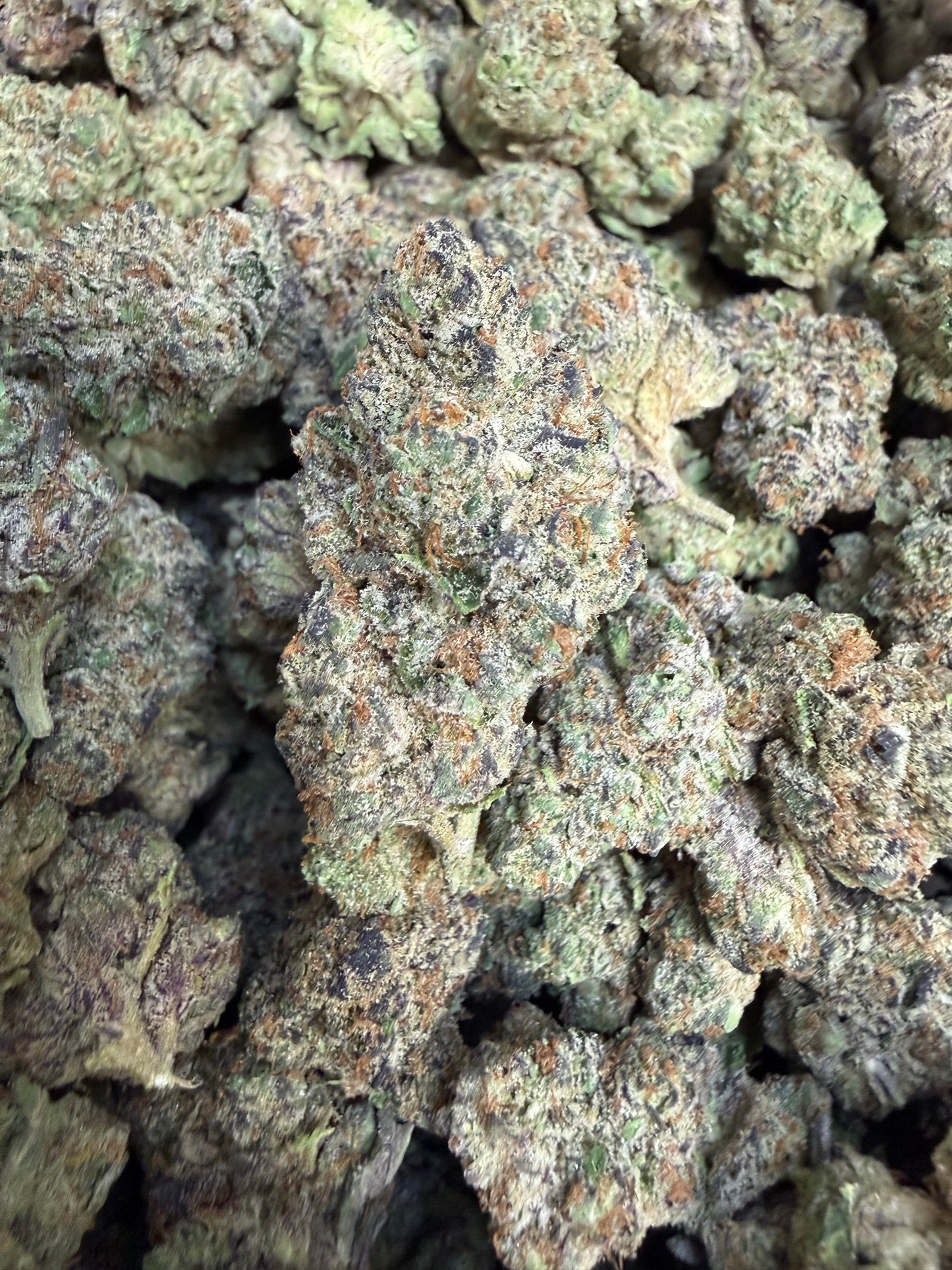 1 Pound - Purple Urkle THCA Flower