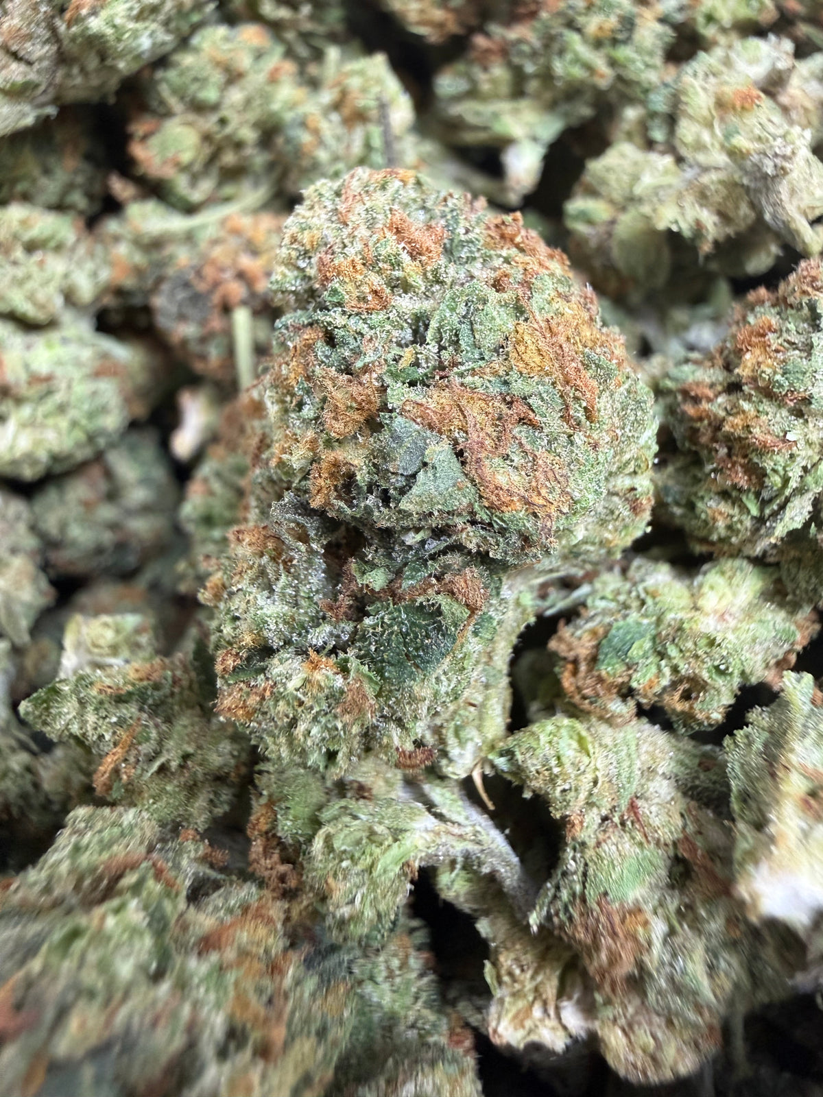 1 Pound - CITRUS GELATO THCA Flower (SMALL)