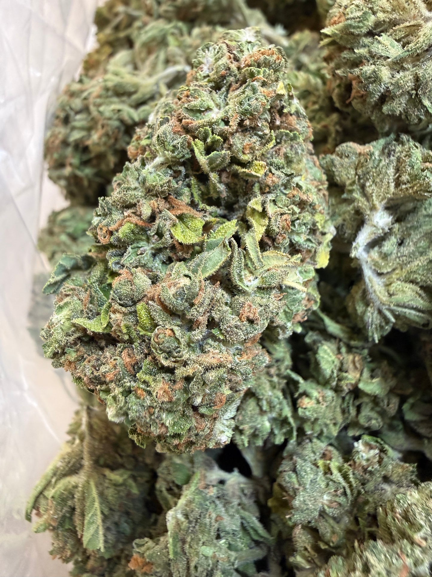 1 Pound - Sweet Baby Jesus THCA Flower