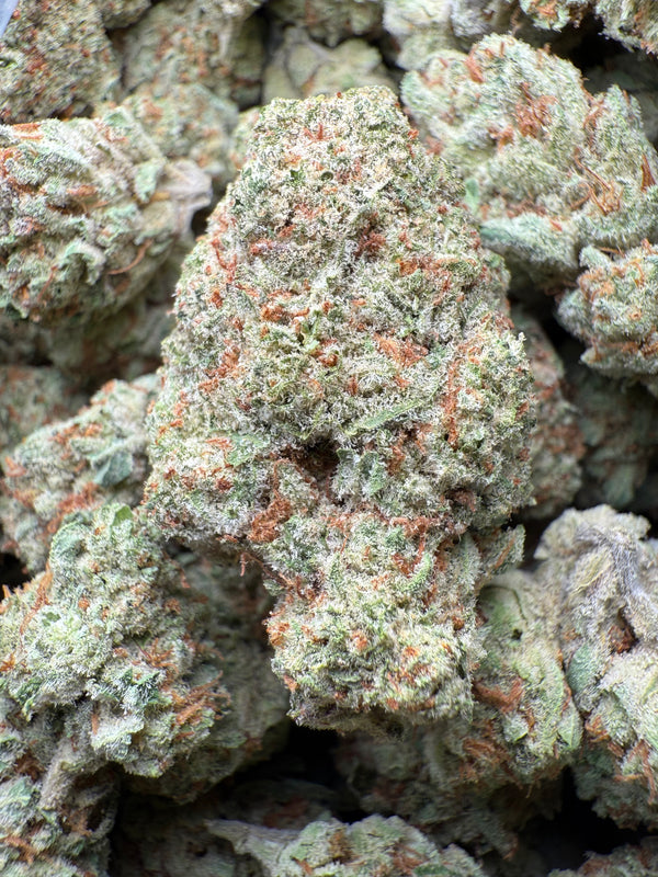 1 Pound - Blue Dream Queen THCA Strain