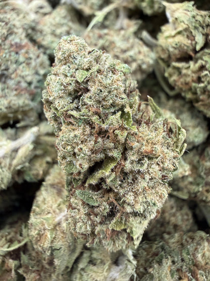 1 Pound - BISCOTTI PANCAKES THCA Flower (BIG)