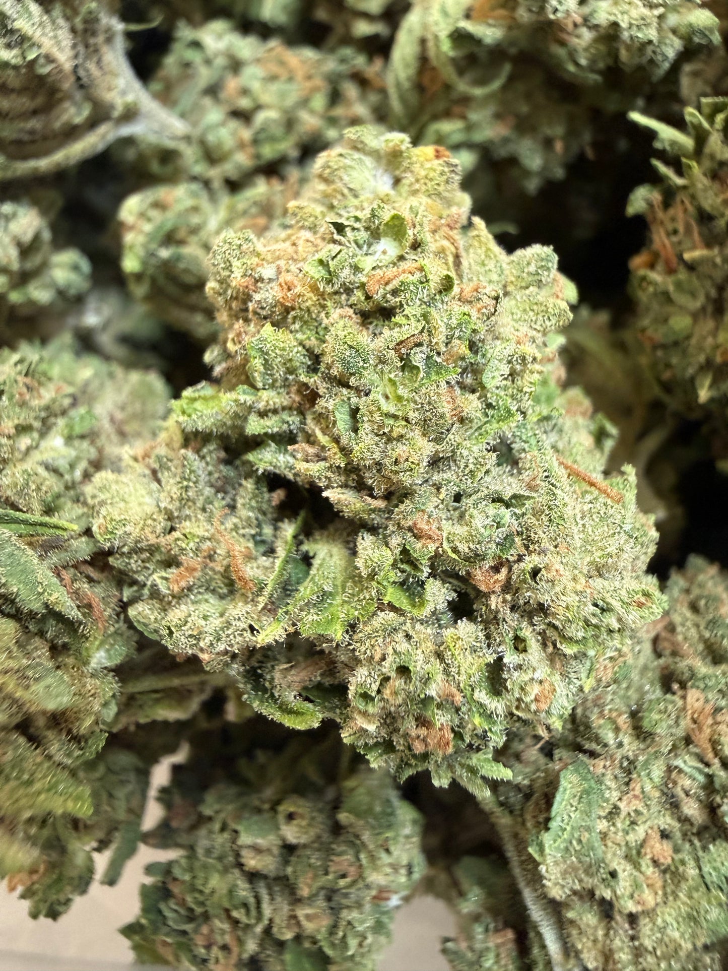 1 Pound - Phantom Gas THCA Flower