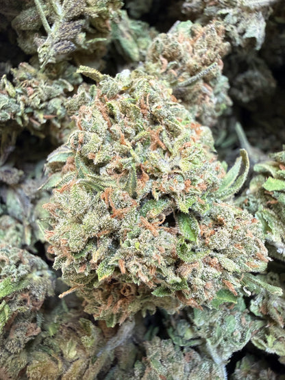1 Pound - Gas Leak THCA Flower