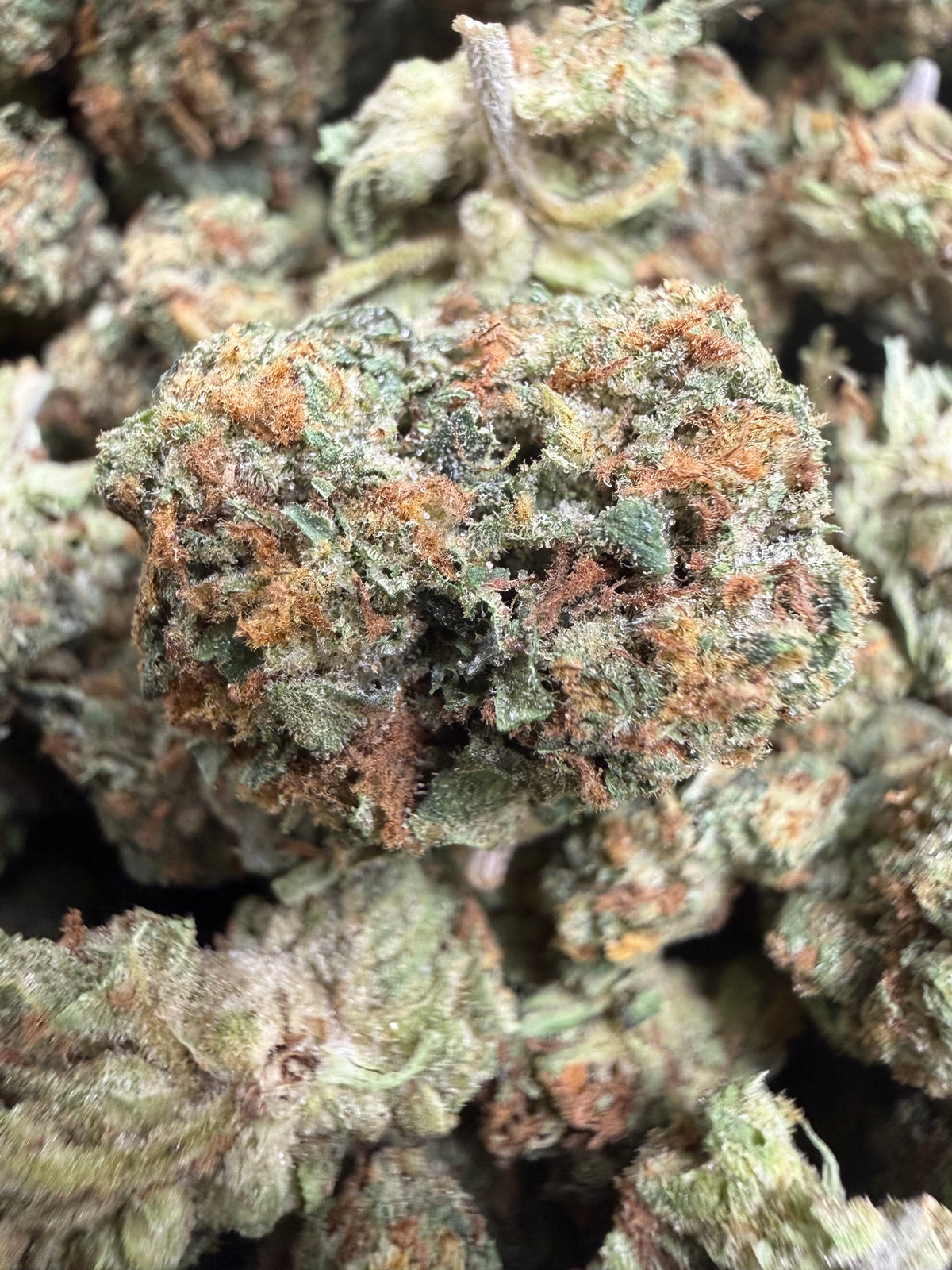 1 Pound - RAINBOW CANDY THCA Flower (SMALL)