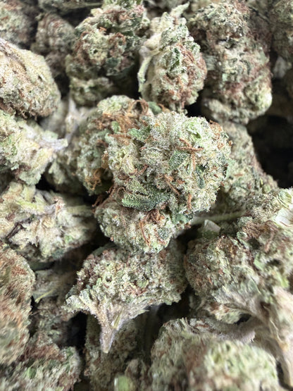 1 Pound - BISCOTTI PANCAKES THCA Flower (SMALL)