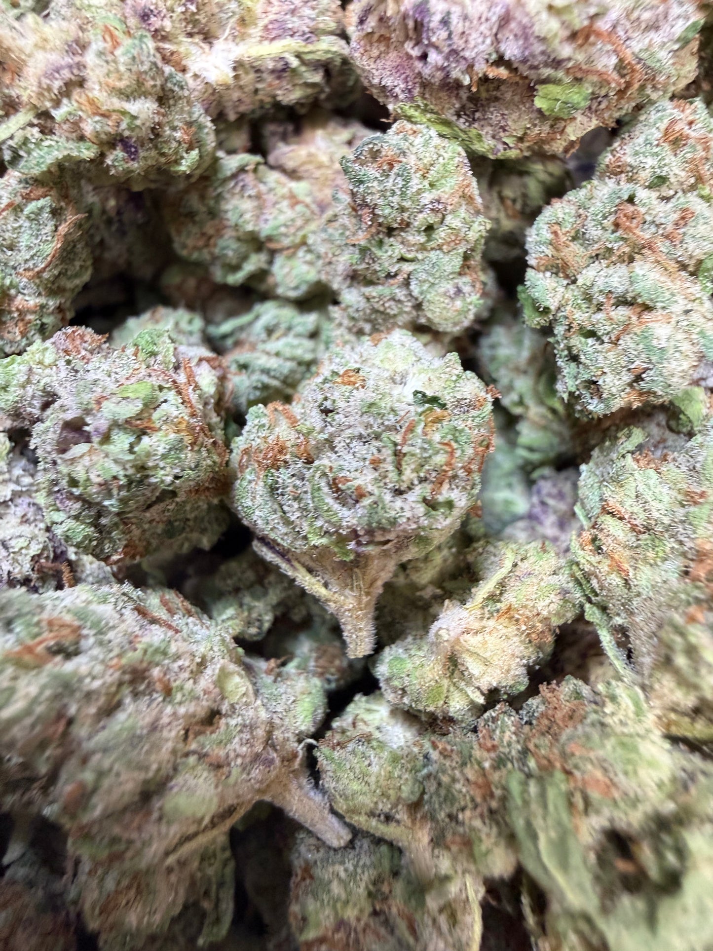 1 Pound - Ivory Runtz THCA Flower (Smalls)
