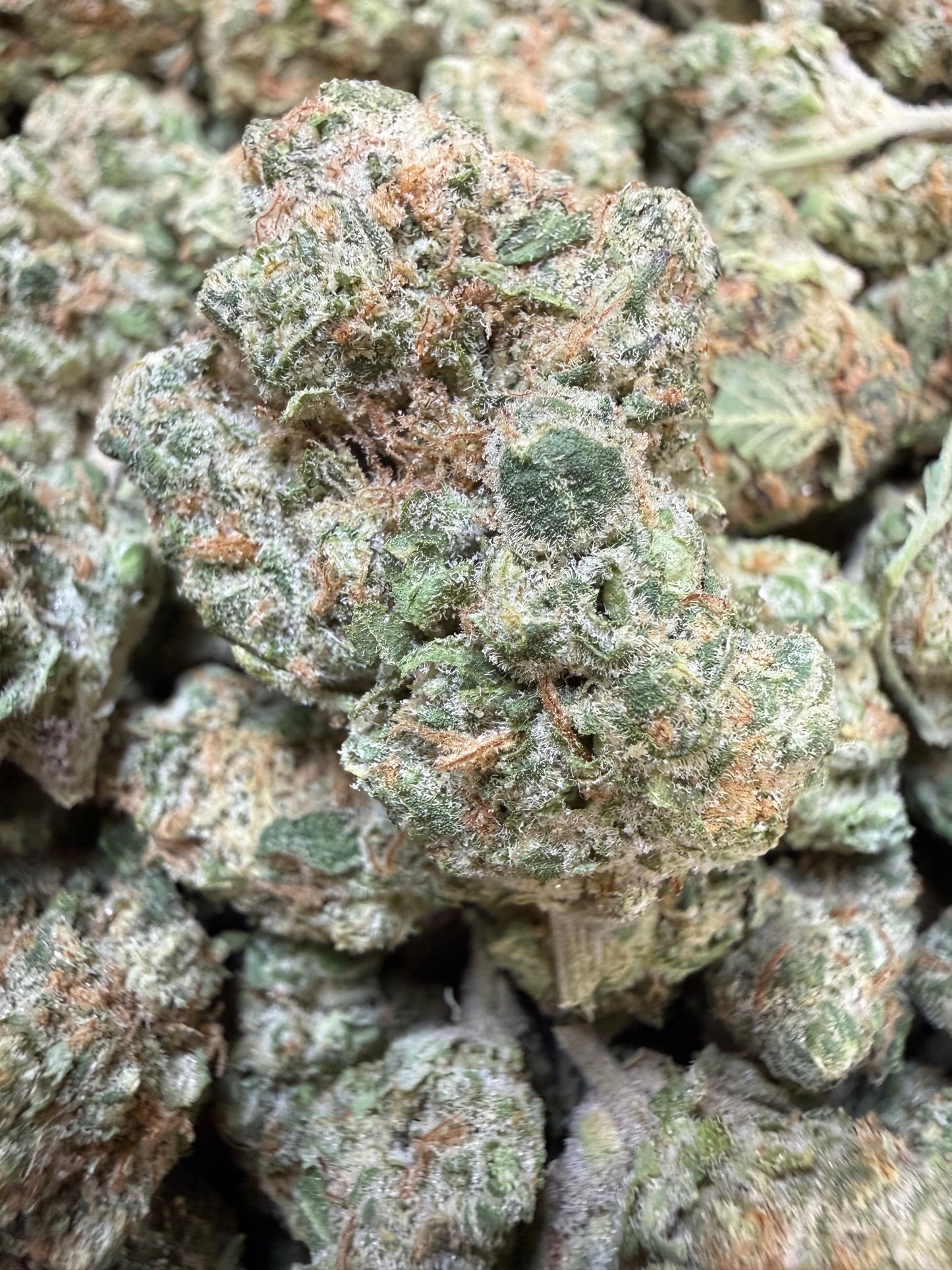 1 Pound - Peanut Butter Breath THCA Flower