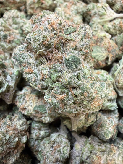 1 Pound - Peanut Butter Breath THCA Flower