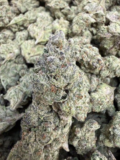 1 Pound - Scotty’s Cheddar THCA Flower