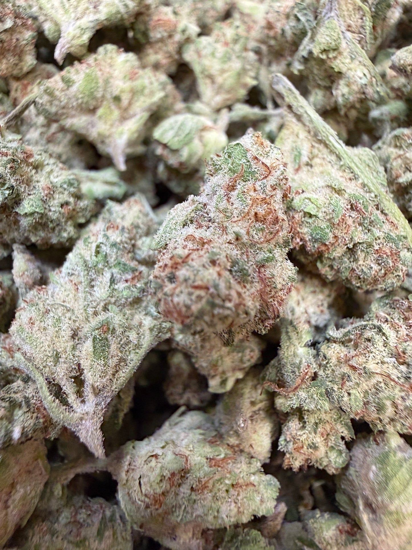 1 Pound - Orange Milano THCA Flower (Smalls)