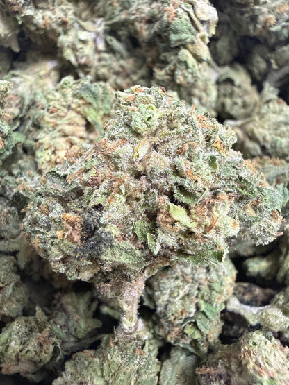 1 Pound - GELATO RUNTZ THCA Flower (SMALL)