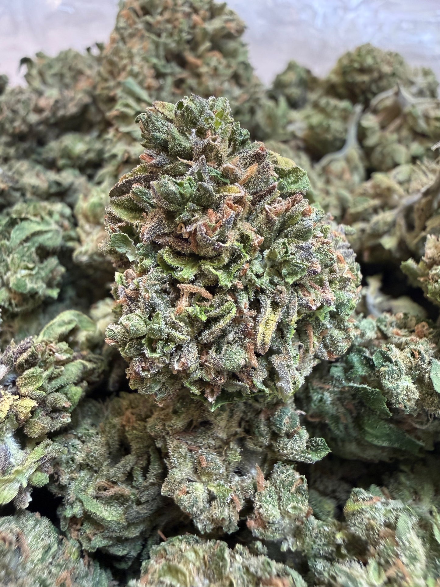 1 Pound - Don Supreme THCA Flower