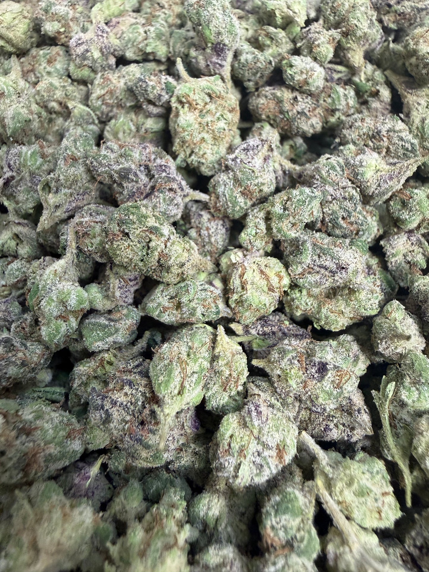 1 Pound - Blueberry Runtz Flower (Smalls)