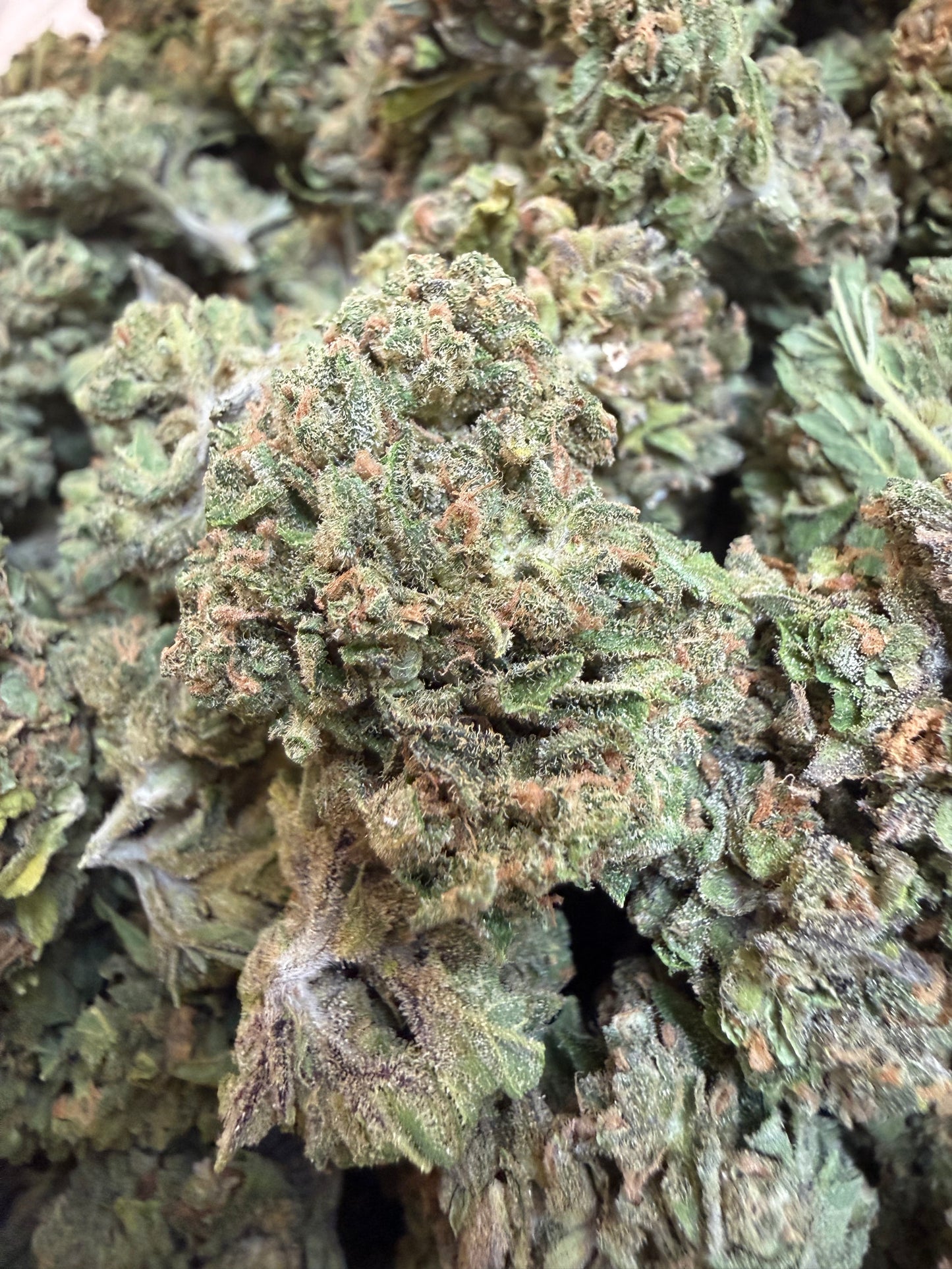 1 Pound - Sweet Baby Jesus THCA Flower
