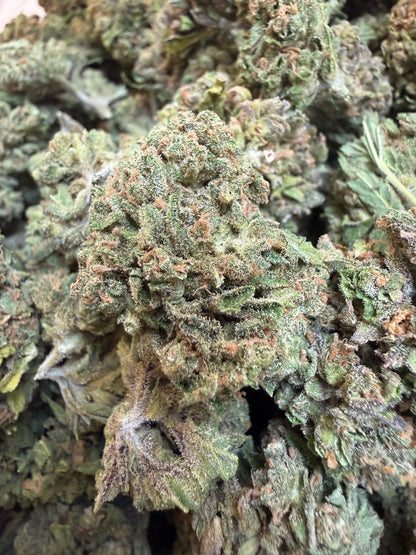 1 Pound - Sweet Baby Jesus THCA Flower