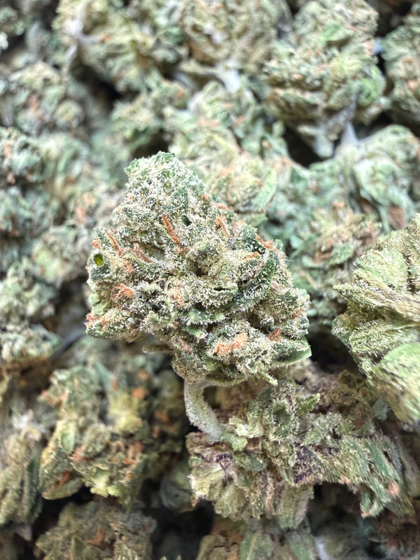 1 Pound - Bubble Bath THCA Flower (Smalls)