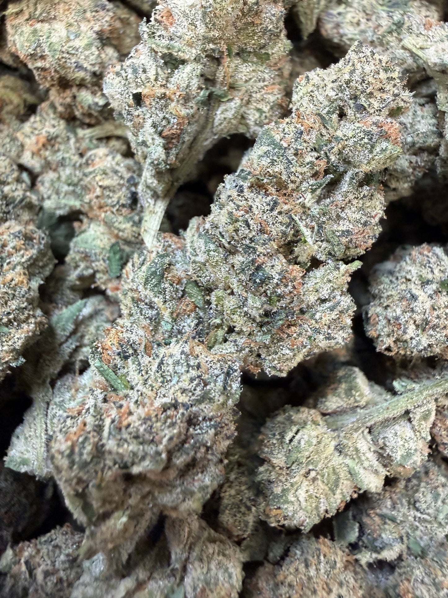 1 Pound - Cotton Candy Cookies THCA Flower
