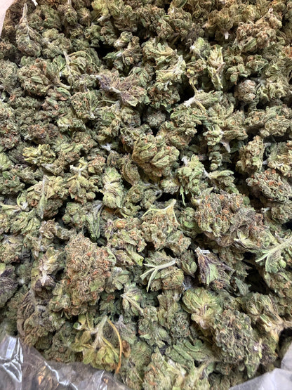 1 Pound - Blue Lobster THCA Flower (Smalls)