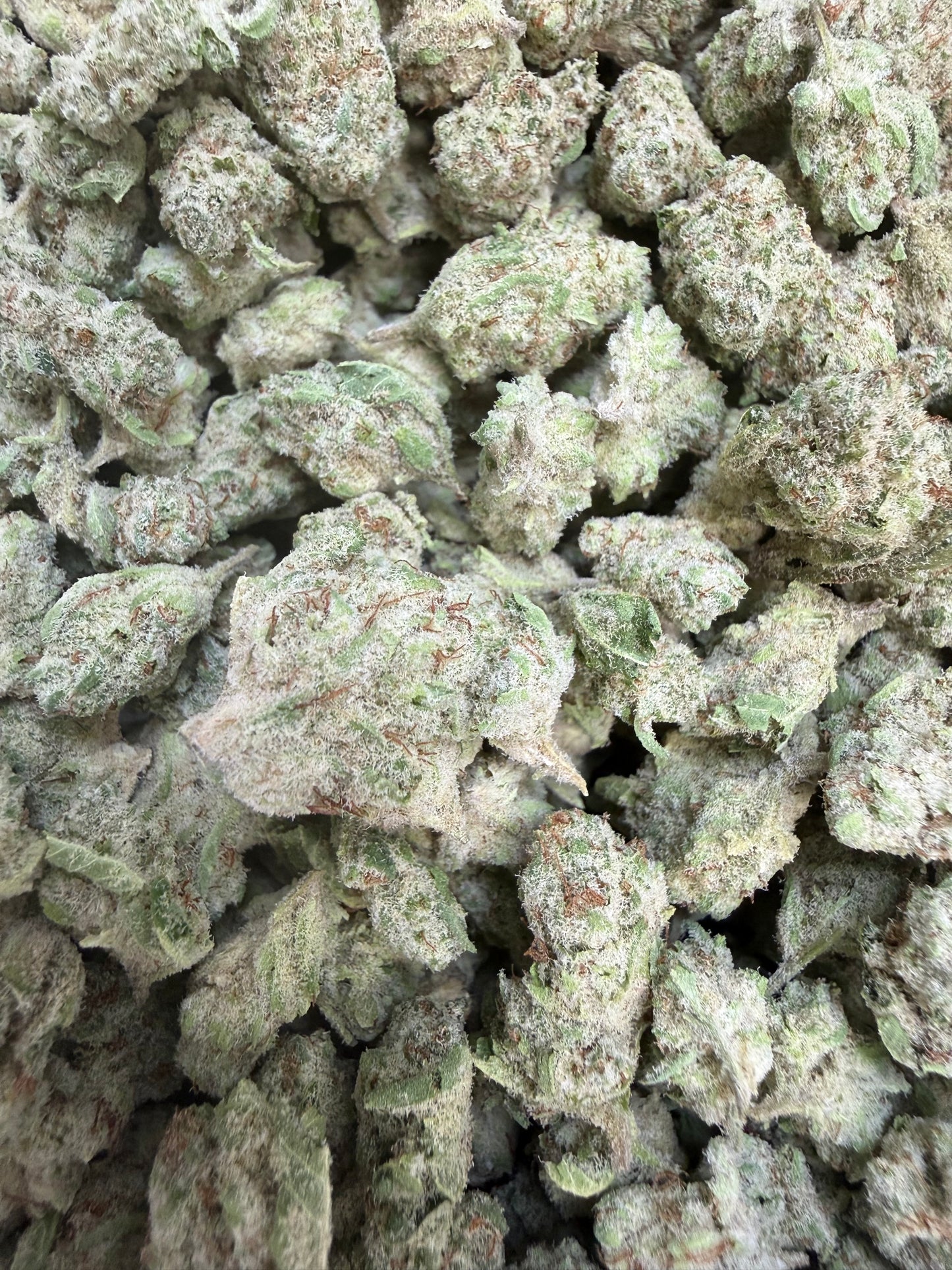 1 Pound - Supersonic Hog THCA Flower (Smalls)