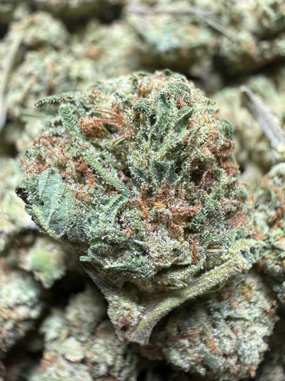 1 Pound - PAPAYA SMOOTHIE THCA Flower (SMALL)