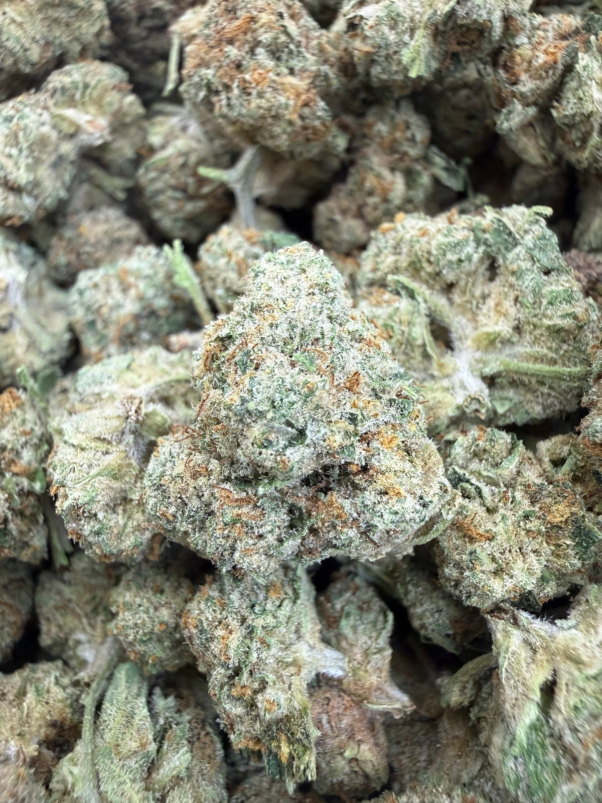 1 Pound - LEMON POPPERZ THCA Flower (SMALL)