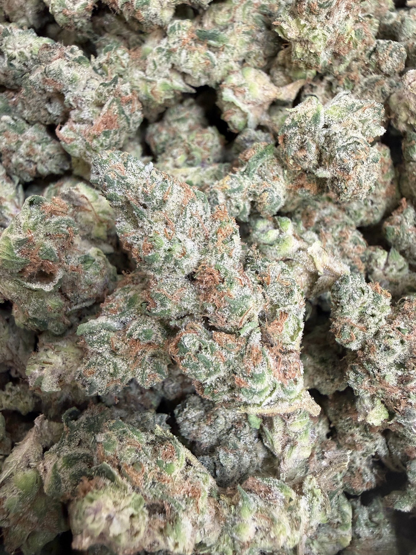 1 Pound - SuperBoof THCA Flower