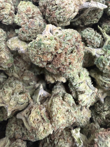 1 Pound - BISCOTTI PANCAKES THCA Flower (SMALL)