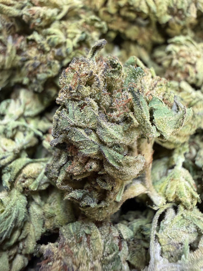 1 Pound - Sweet N' Sour OG THCA Flower