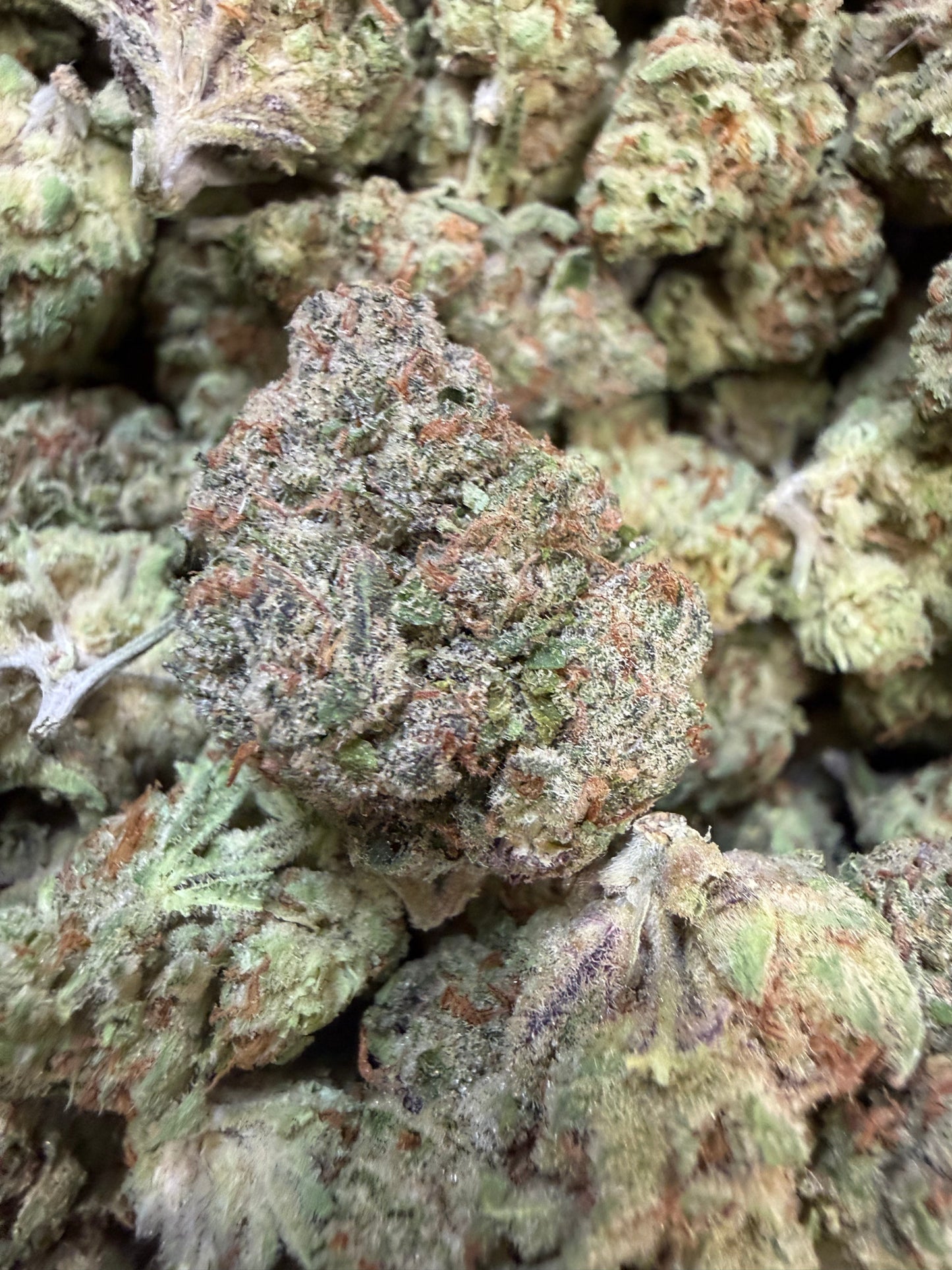 1 Pound - AK-49 THCA Flower