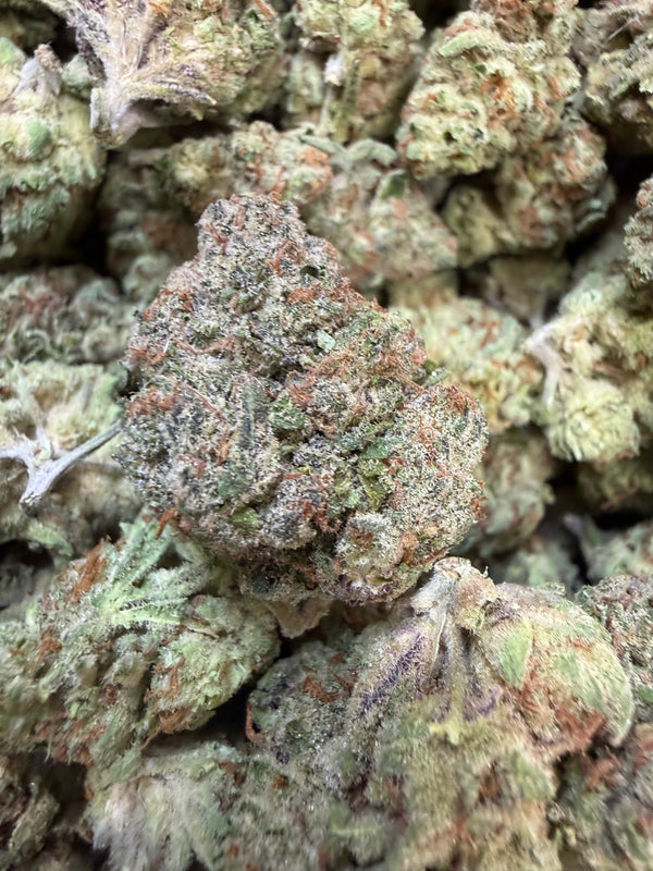 1 Pound - AK-49 THCA Flower