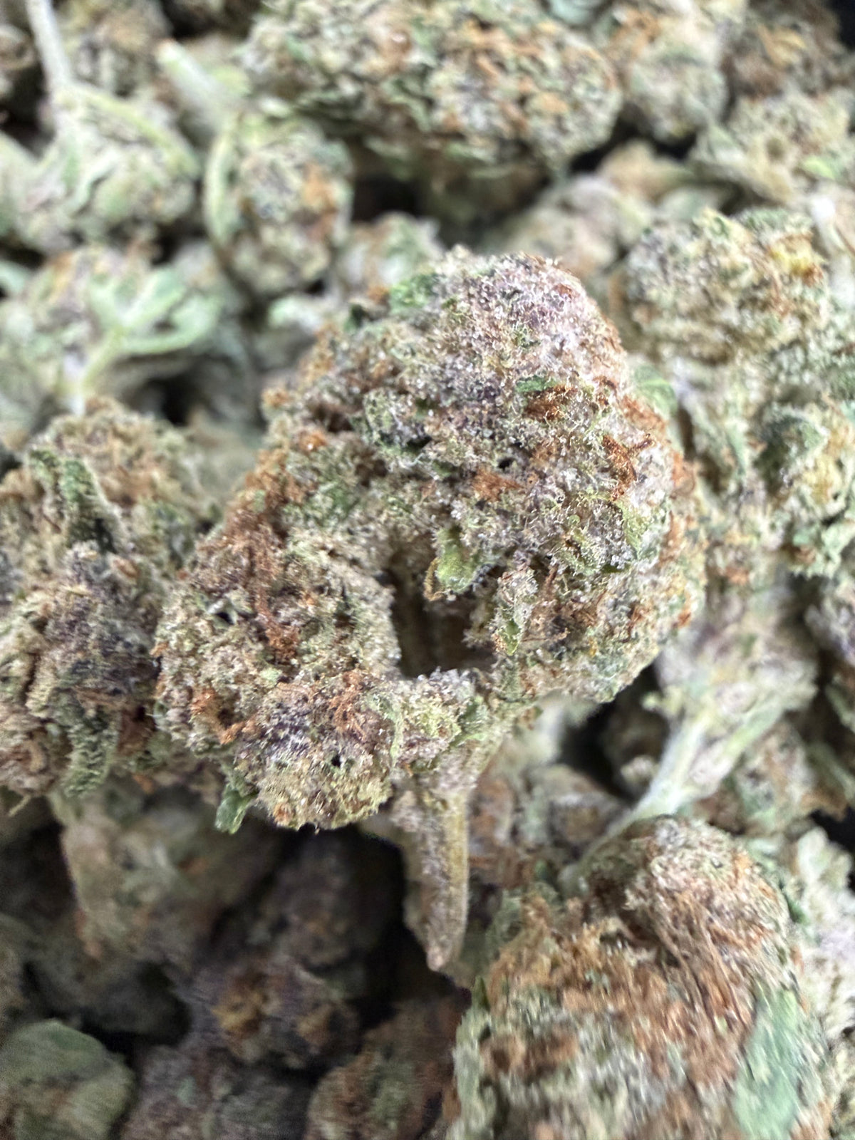 1 Pound - PURPLE SOUR BOMB THCA Flower (SMALL)