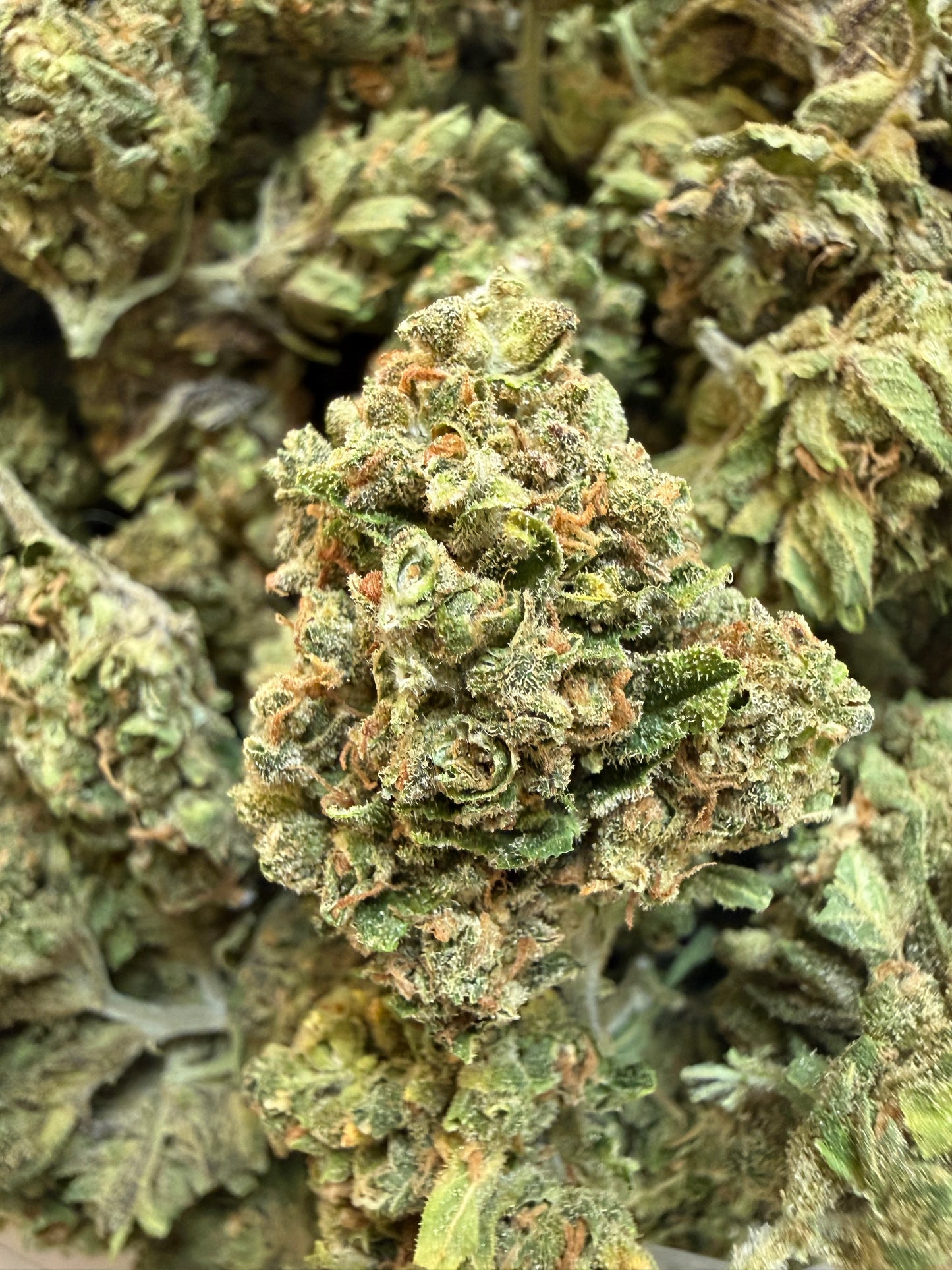 1 Pound - Cherry Lime Soda THCA Flower