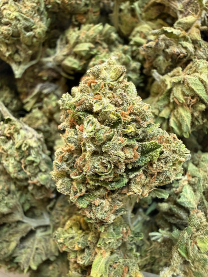 1 Pound - Cherry Lime Soda THCA Flower