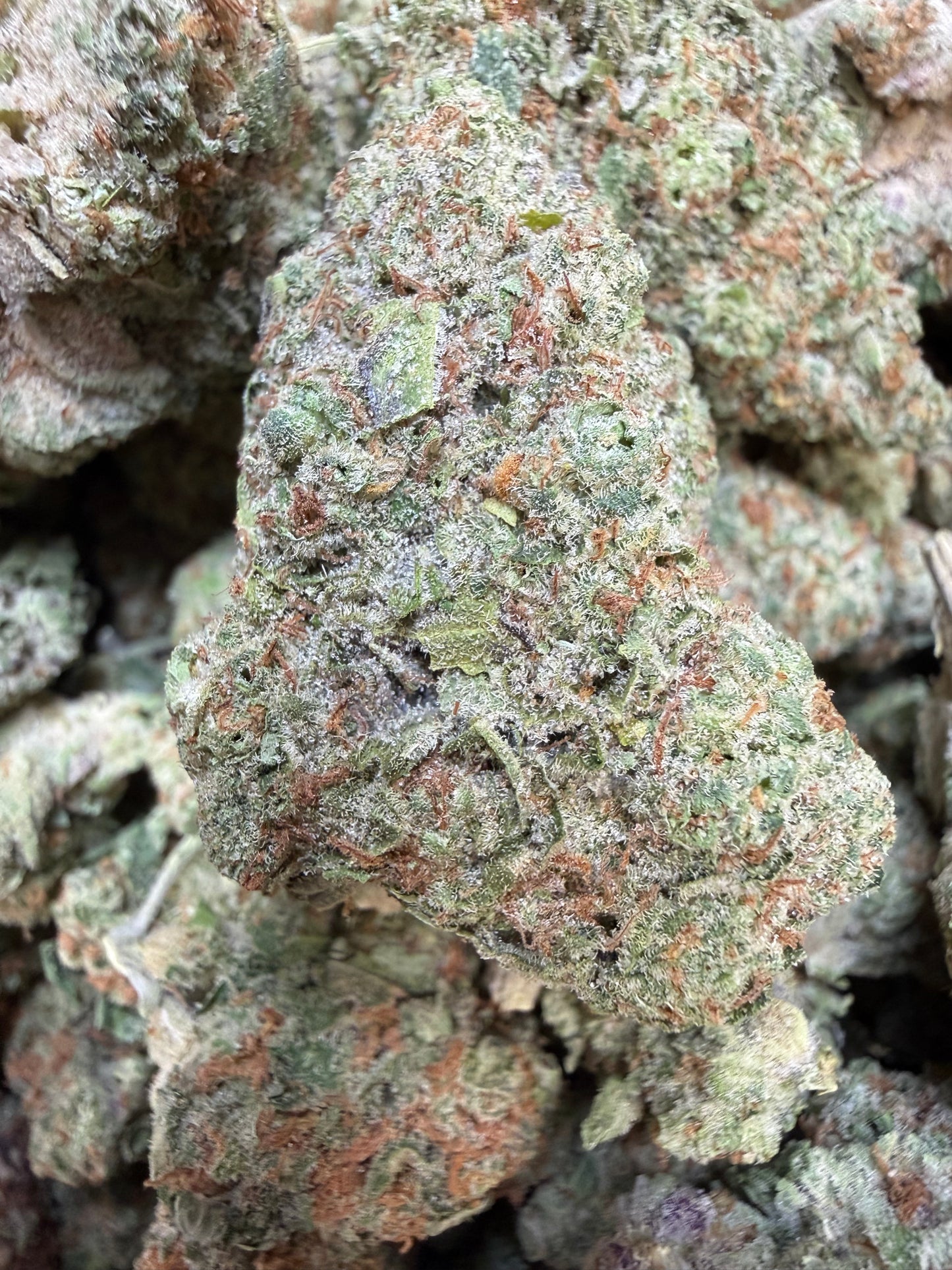 1 Pound - Phat Panda THCA Flower
