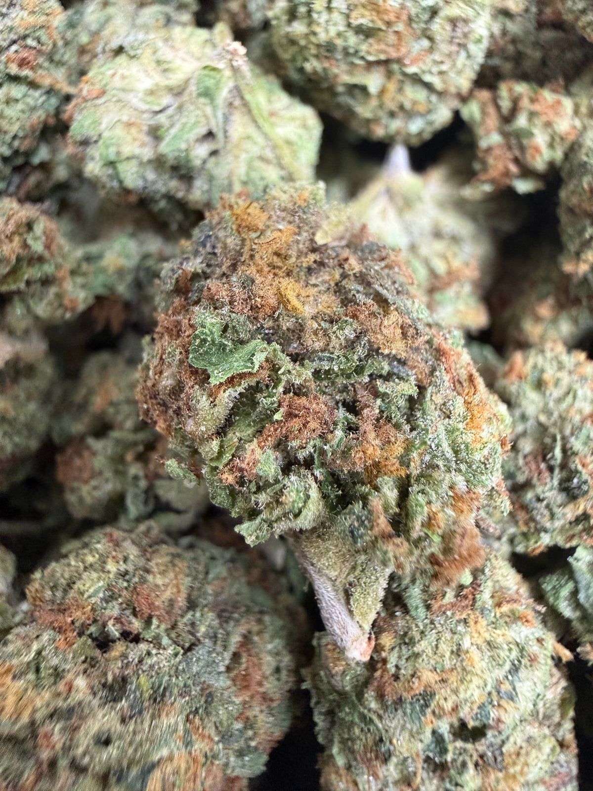 1 Pound - RAINBOW CANDY THCA Flower (SMALL)