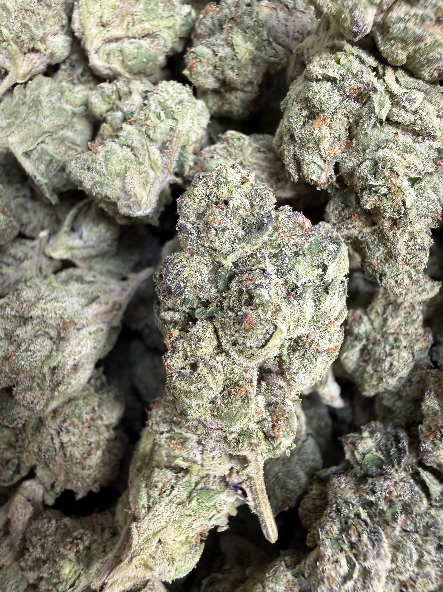 1 Pound - Scotty’s Cheddar THCA Flower