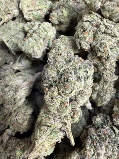 1 Pound - Scotty’s Cheddar THCA Flower