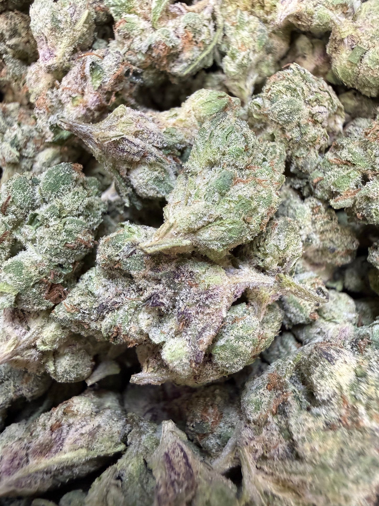 1 Pound - Gelato 33 S1 THCA Flower (Smalls)