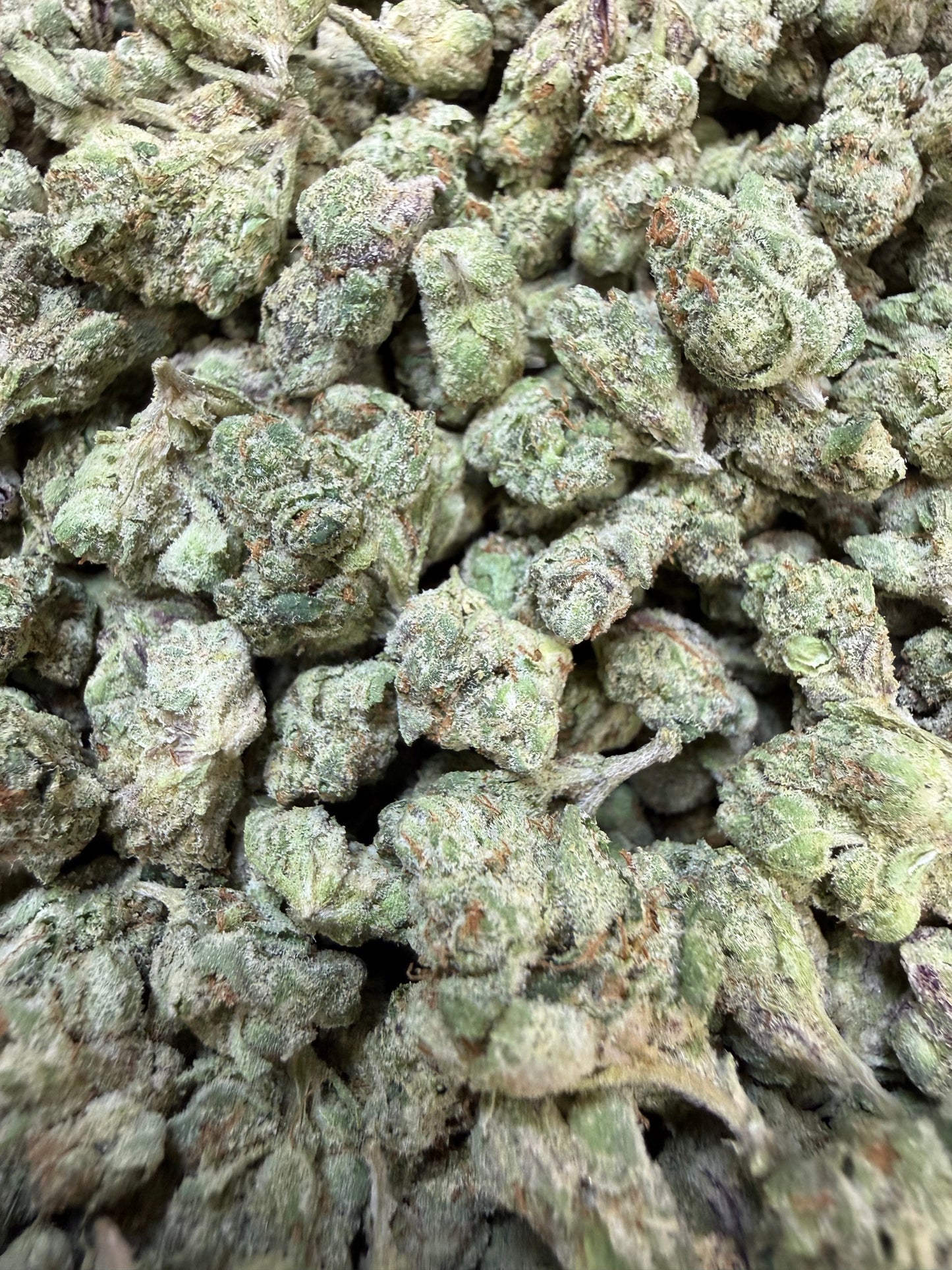 1 Pound - Gelato 33 S1 THCA Flower (Smalls)