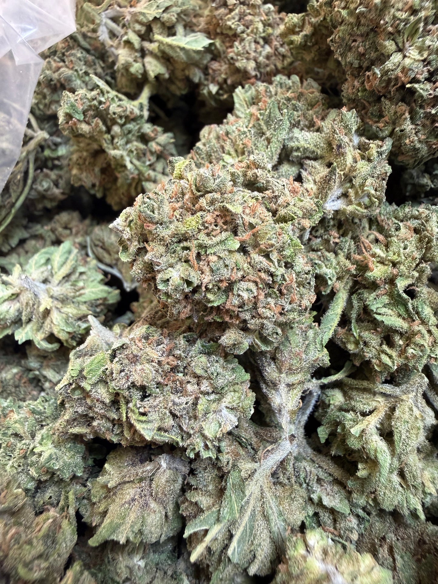 1 Pound - Phantom Gas THCA Flower