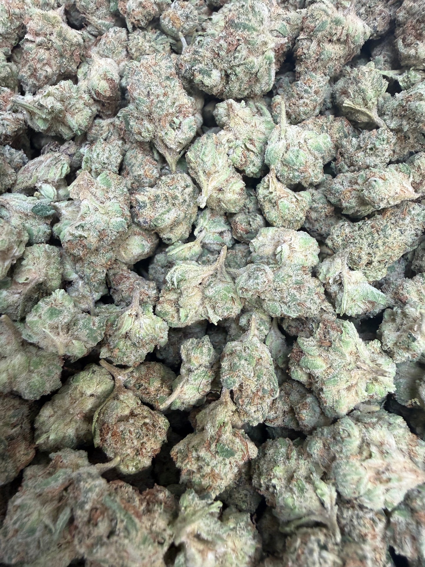 1 Pound - Crunch Berries Flower (Smalls)