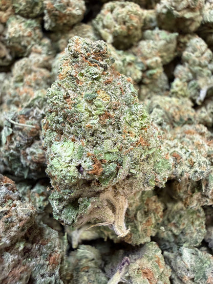 1 Pound - Secret Nectra THCA Flower