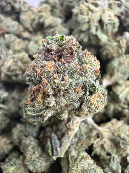1 Pound - GELATO RUNTZ THCA Flower (SMALL)