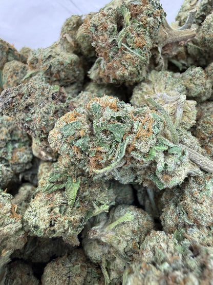 1 Pound - ILLEMONATI OG THCA Flower (BIG)