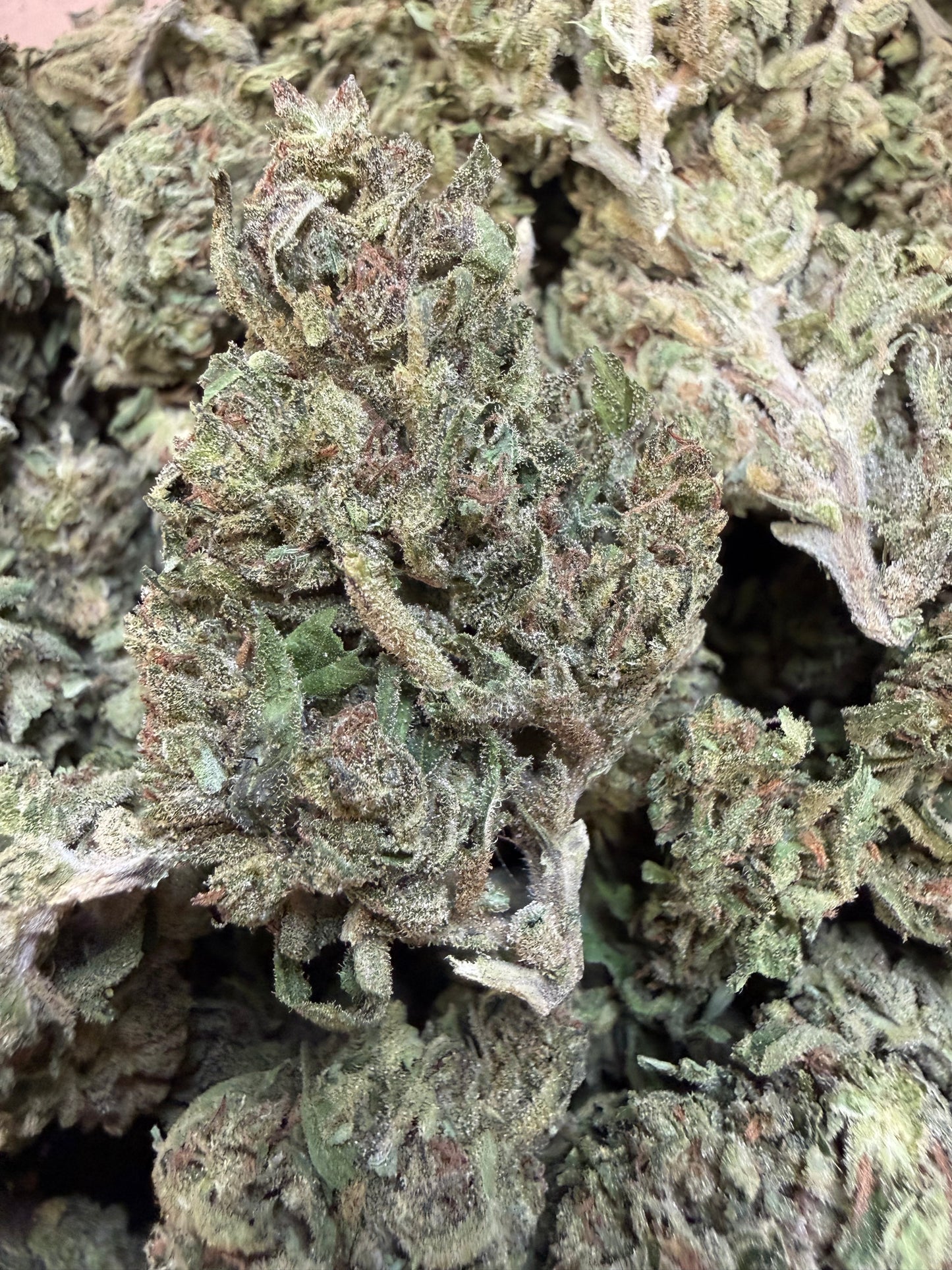 1 Pound - Blueberry X Blue Dream THCA Flower